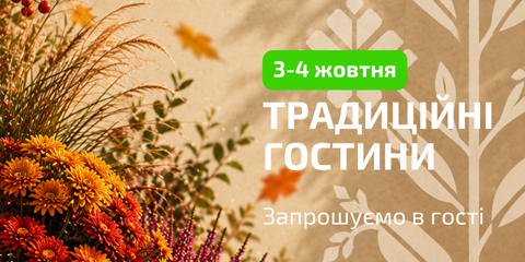 Гостини Галсад