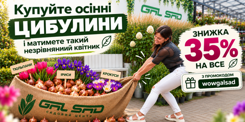 Banner from design 1