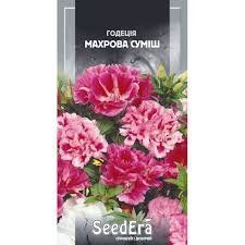 Квіти Годеція махрова суміш Seedera 000007386#326569    фото