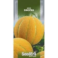 Диня Ефіопка Seedera 000007386#322568    фото