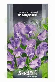 Квіти Горошок духмяний лавандовий Seedera 000007386#326576    фото