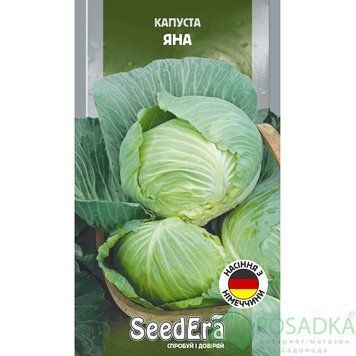 Капуста білоголова Яна Seedera 000007386#326037    фото