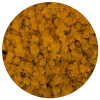 Мох №60, yellow