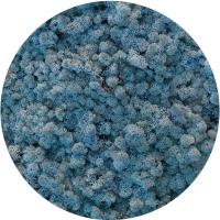 Мох №59, ice blue