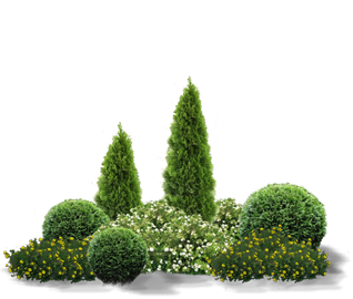 ландшафт-png-.png