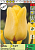 Тюльпан 'Strong Gold`