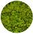 Мох №55, spring green
